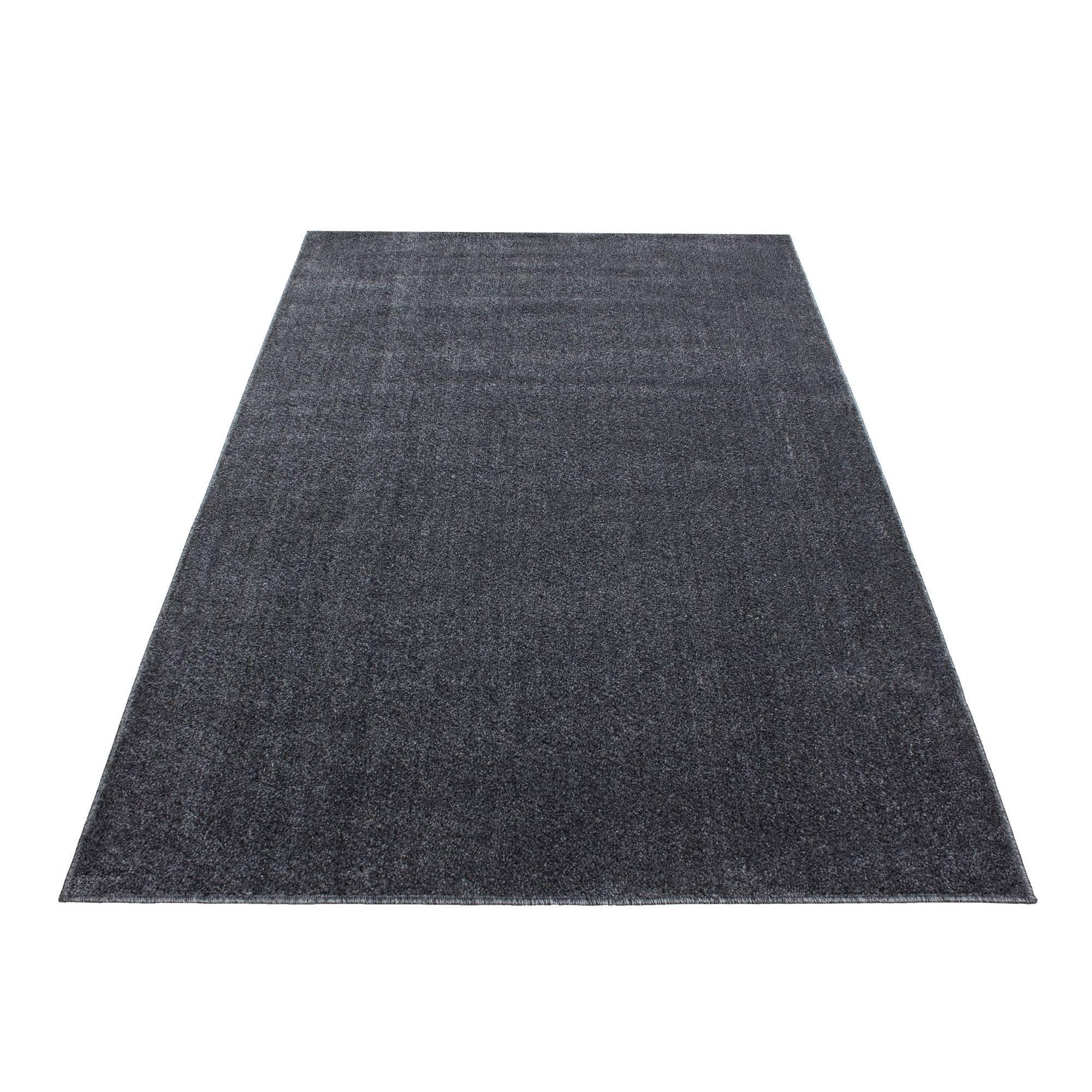 Ayyildiz Vloerkleed Milly | 