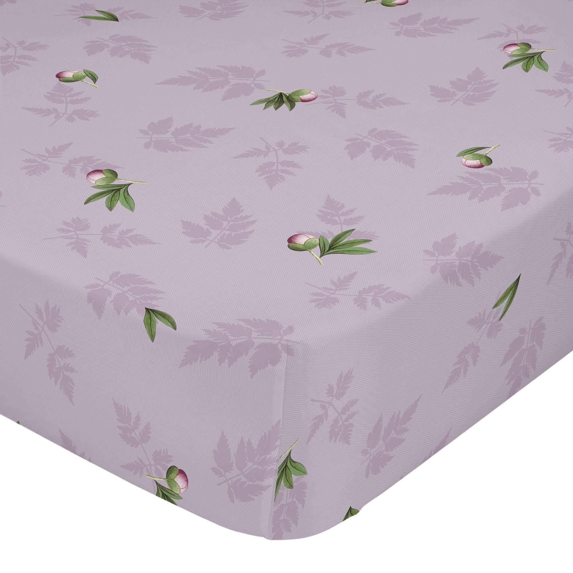 Happy Friday Hoeslaken Tulip | 