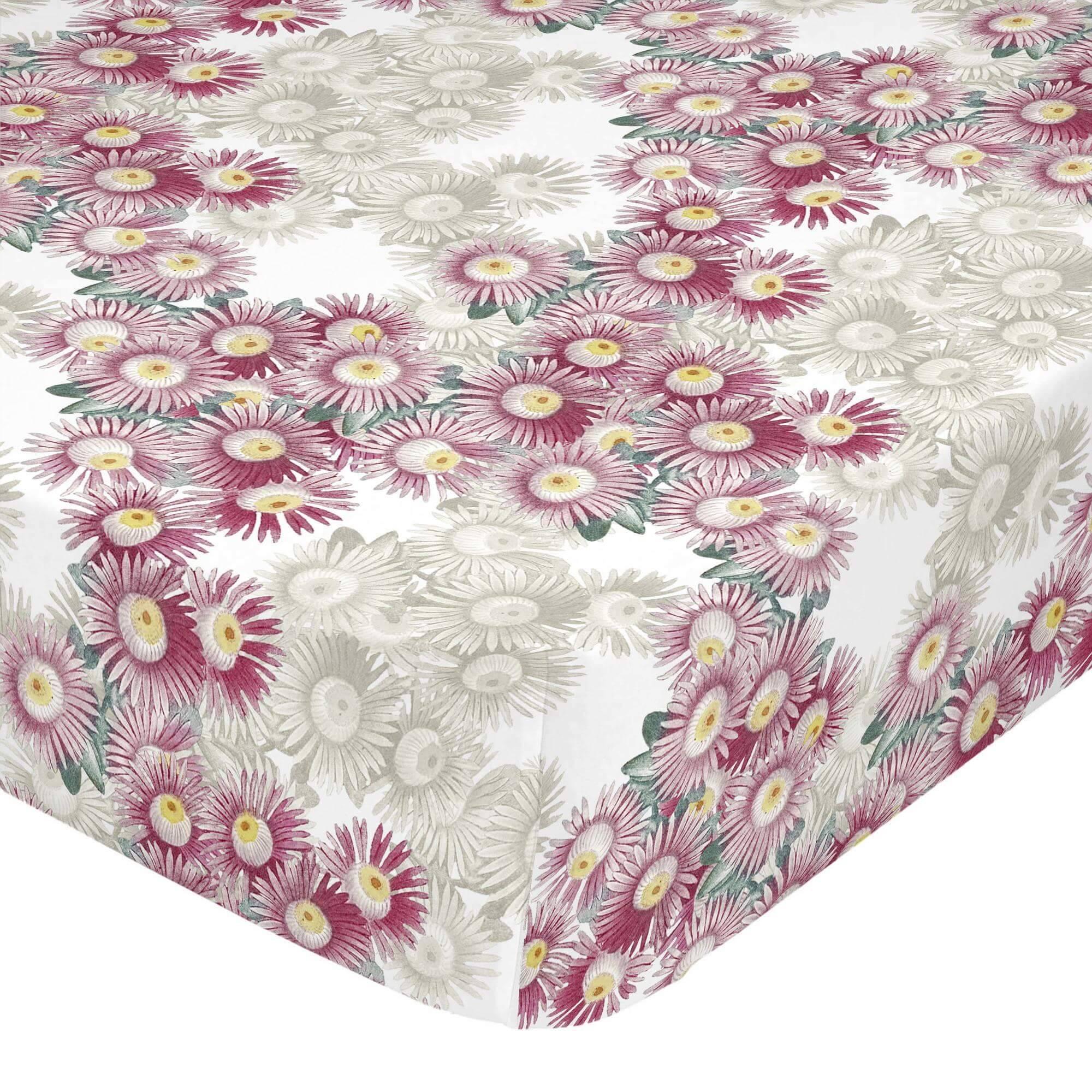 Happy Friday Hoeslaken Lily | 