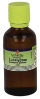Volatile Eucalyptus wild 50ml