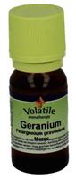 Volatile Geranium maroc 10ml