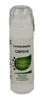 Balance pharma CNP16 Crotalus Constitutieplex 6g