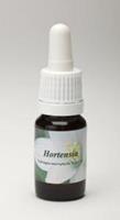 Star remedies Hortensia 10ml
