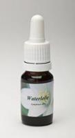 Star remedies Waterlelie 10ml