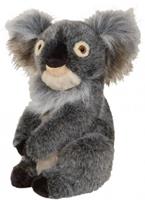 Daphne Koala