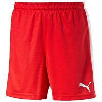 Puma Pitch Shorts - Heren - Rood - S