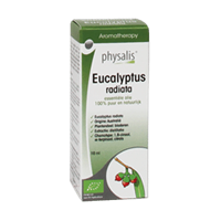 Physalis Aromatherapie Eucalyptus Radiata
