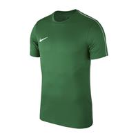 Nike - Dry Park 18 Ss Top Jr - Groen Voetbalshirt Jr