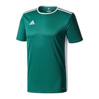 sport T-shirt Entrada groen