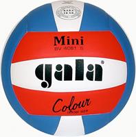 Gala Volleybal 4051S Minivolley