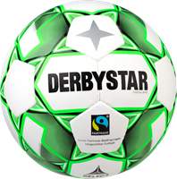 DerbyStar Voetbal Omega APS wit groen 1106