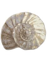 Grund Badkamer set Ammonit