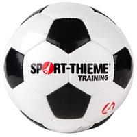Sport-Thieme Fußball Training, Größe 4