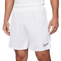 Nike Shorts Cw6107