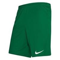 Nike Shorts Dry Park III - Groen/Wit Kids