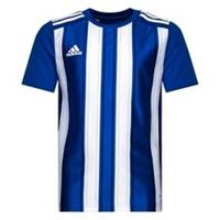 adidas Voetbalshirt Striped 21 - Blauw/Wit Kids