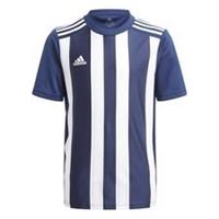 Adidas Voetbalshirt Striped 21 - Navy/Wit Kinderen