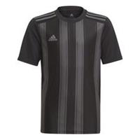 Adidas Voetbalshirt Striped 21 - Zwart/Grijs Kinderen