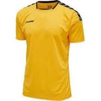 Hummel Voetbalshirt Authentic Poly - Geel/Zwart Kids
