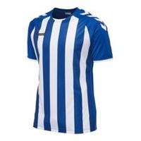 Hummel Voetbalshirt Core Striped - Blauw/Wit Kinderen