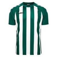 Hummel Voetbalshirt Core Striped - Groen/Wit Kinderen