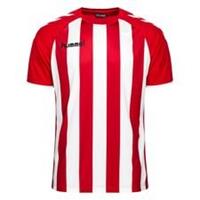 Hummel Voetbalshirt Core Striped - Rood/Wit Kinderen