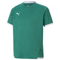 Puma Voetbalshirt teamLIGA - Groen/Wit Kinderen