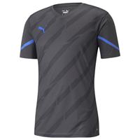 Puma Trainingsshirt IndividualCUP - Blauw/Asfalt