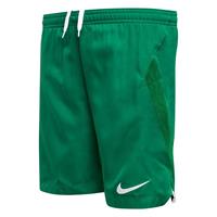 Nike Shorts Laser IV Dri-FIT - Groen/Wit Kinderen