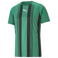 Puma Voetbalshirt teamLIGA - Groen/Zwart/Wit