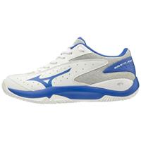 Mizuno Wave Flash CC