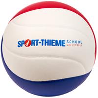Sport-Thieme Volleybal "School 2021"