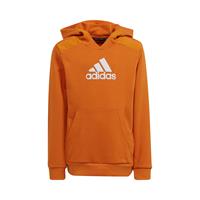 adidas Hoodie Badge of Sport - Oranje/Wit Kids