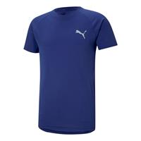 Puma Evosipe T-Shirt