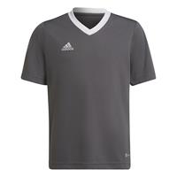adidas Training T-Shirt Entrada 22 - Grau/Weiß Kinder