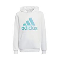 Adidas Big Logo Sweater Met Capuchon Jongens
