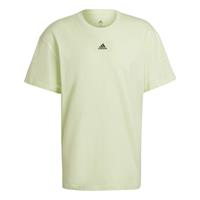 adidas Performance, Herren T-Shirt M Fv T Almlim in gelb, Sportbekleidung fÃ¼r Herren