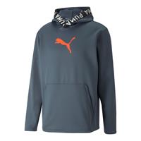 Puma Power Fleece Hoody