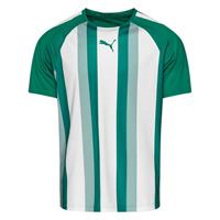Puma Voetbalshirt teamLIGA - Groen/Wit