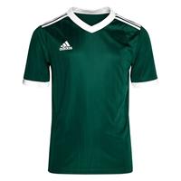 Adidas Voetbalshirt Tabela 18 - Groen/Wit Kinderen