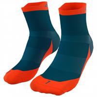 Dynafit Transalper Socks - Wandelsokken, blauw/rood