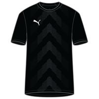 Puma Voetbalshirt teamGLORY - Zwart Kinderen