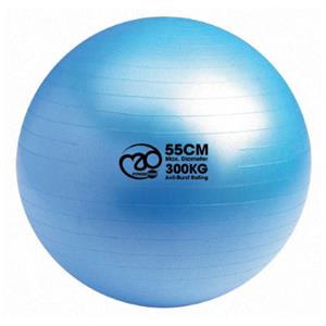 Fitness-Mad 300kg Swiss Ball (55cm) - Fitnessballen