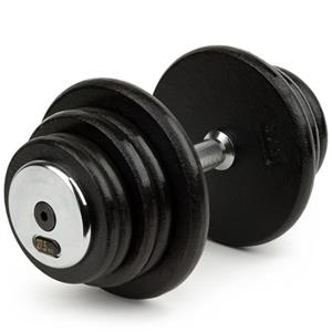 Sport-Thieme Compacte Halters - Gietijzer, 27,5 kg