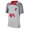 Nike Liverpool FC Dri-FIT Strike Tee 2023/2024 Junior grau/rot Größe 158