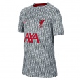 Nike Liverpool FC Dri-FIT Pre-Match Jersey 2023/2024 Junior grau/rot Größe 122