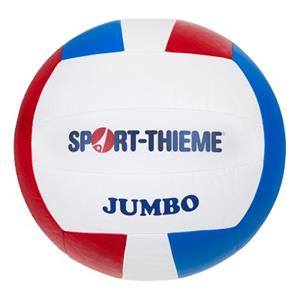 Sport-Thieme Volleybal Jumbo