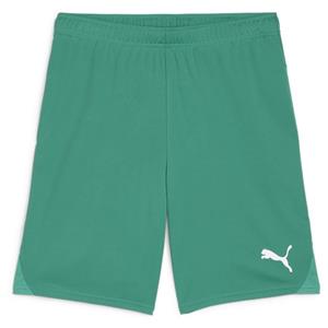 PUMA teamGOAL Shorts Herren 05 - sport green/puma white