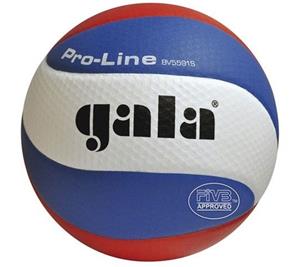 Gala Volleybal Pro-line 5591S10