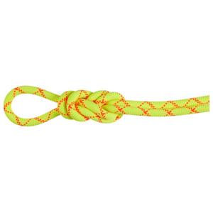 Mammut - 9.5 Alpine Core Protect Dry Rope - Einfachseil